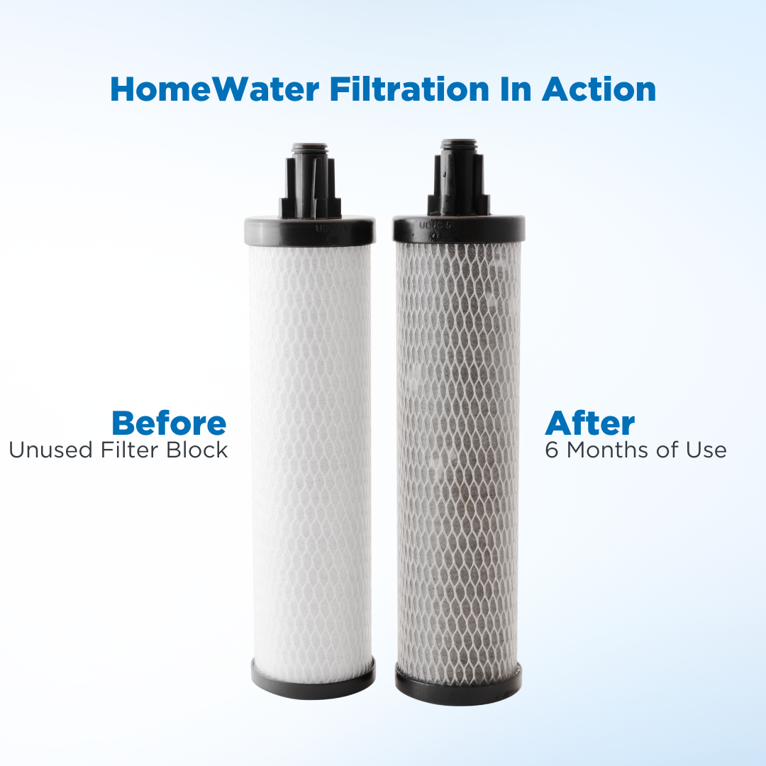 HomeWater EZChange Direct Connect Lead Filter