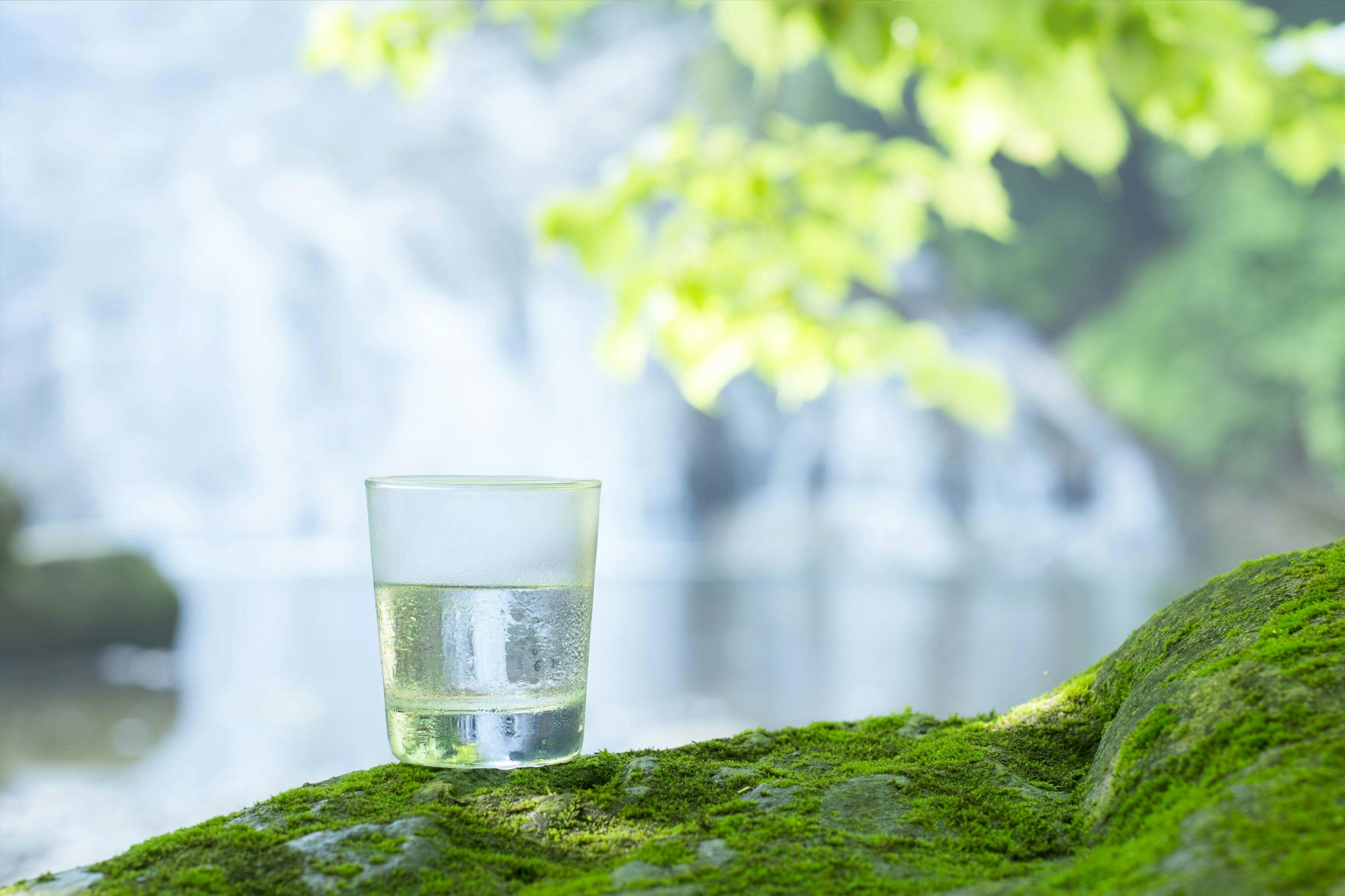 Glass Of Water In Nature | Sustainable Water