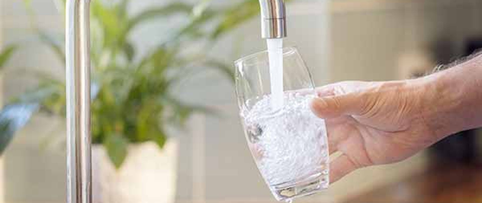 Whole-House Reverse Osmosis System: A Guide